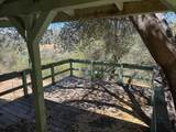 31360 Road 416 - Photo 17
