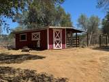 31360 Road 416 - Photo 19