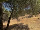 31360 Road 416 - Photo 20