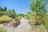 2658 Alluvial Avenue - Photo 59