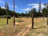 70 Oak Avenue - Photo 24