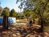 37033 Dunlap Road - Photo 10
