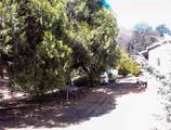 37033 Dunlap Road - Photo 11