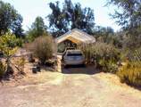37033 Dunlap Road - Photo 12