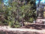 37033 Dunlap Road - Photo 20