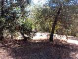 37033 Dunlap Road - Photo 21