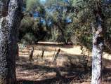 37033 Dunlap Road - Photo 22