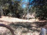 37033 Dunlap Road - Photo 23