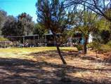 37033 Dunlap Road - Photo 8