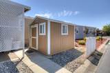 336 Alluvial Avenue - Photo 7