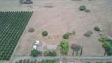 33576 Road 220 #A - Photo 3