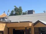 1223 Dolores - Photo 4