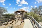 47735 Thunderhill Lane - Photo 17