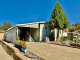 46041 Road 415 - Photo 2