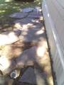 17604 Kings Canyon Rd - Photo 5