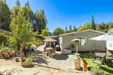 39737 Road 274 - Photo 5