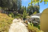 39737 Road 274 - Photo 9