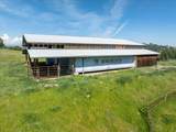 24810 Road 207 - Photo 10