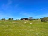 24810 Road 207 - Photo 14