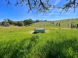 24810 Road 207 - Photo 20