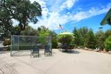 43381 Running Deer Drive - Photo 6