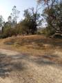 0-Lot 856 Deep Forest Drive - Photo 10