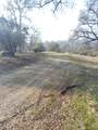 0-Lot 856 Deep Forest Drive - Photo 11