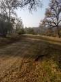 0-Lot 856 Deep Forest Drive - Photo 12