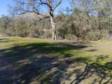 0-Lot 856 Deep Forest Drive - Photo 2