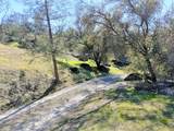 0-Lot 856 Deep Forest Drive - Photo 3