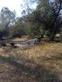 0-Lot 856 Deep Forest Drive - Photo 4