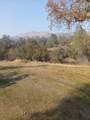 0-Lot 856 Deep Forest Drive - Photo 6