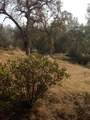 0-Lot 856 Deep Forest Drive - Photo 8