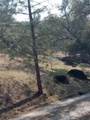 0-Lot 856 Deep Forest Drive - Photo 9