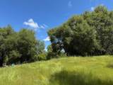 4516 Hirsch Road - Photo 1