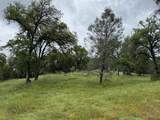 4516 Hirsch Road - Photo 3