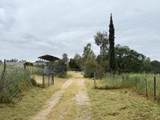 28826 Auberry Road - Photo 23