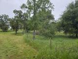 28826 Auberry Road - Photo 6