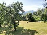 33491 Road 233 - Photo 11