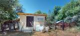 33491 Road 233 - Photo 16