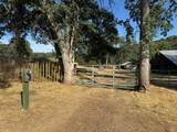 32101 Trimmer Springs Rd - Photo 28