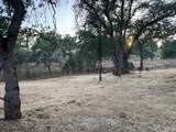 32101 Trimmer Springs Rd - Photo 54
