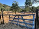 32101 Trimmer Springs Rd - Photo 57