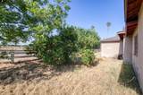 43125 Road 80 - Photo 41