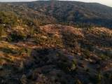 38914 Road 810 - Photo 26