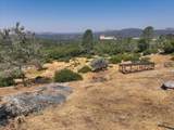 31364 Quartz Mountain Road - Photo 43