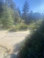 49832 Road 426 - Photo 5