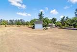 36648 Pauline Avenue - Photo 35