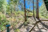 42025 Tollhouse Road - Photo 13