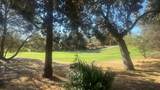 31160 Revis Road - Photo 4